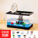 Turtle tank, home landscaping, filtration, circulation, terrace, climbing platform, acrylic ecological mixed fish tank, small turnover box, small ecological tank, 2 covers + water changer + 7-piece set of decorations