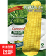 White, sweet and waxy corn seeds, high-yielding, sown in all seasons, white and waxy corn, non-transferable, national-approved, farmers’ super-sweet and waxy corn seeds, Xinnuo 628 corn seeds, original 200g, 1 bag