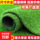 Simulated lawn carpet, artificial artificial turf, green outdoor decoration, fake grass plastic mat, balcony kindergarten, 2cm thick spring grass (1m wide*2m long)