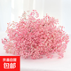 Gypsophila dried flower bouquet preserved flower material cherry blossom powder