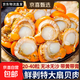 New arrival, extra large scallop meat, pure wild-caught fresh scallops, frozen seafood, kept fresh with ice, scallop meat 400g*2