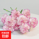 Exclusive for live broadcast, 20 random single-headed carnations, 38 goddess Women’s Day gift flowers, 1 set