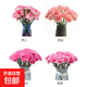 Carnation flowers Yunnan base straight hair Goddess Day gift bouquet multi-color flowering period long Chinese Valentine's Day gift 3 pink carnations 10 branches