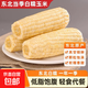 2025 Northeastern White Waxy Corn Vacuum Packed New Arrival Freshly Picked Farm-Grown Fresh Sweet Waxy Corn on the Cob Coarse Grain White Sweet Waxy Corn 3 Sticks 150-200g