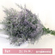 AIMAN Yunnan Forget-Me-Not Real Flowers Dried Flower Bouquet Home Furnishings Small Fresh Living Room Gypsophila Flower Arrangement Theory Jin Jin is equal to 0.5 kg. Sell Lover's Grass One Bouquet Dried Branches