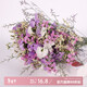 Love Yunnan Forget-Me-Not Dried Flowers Flower Ornaments Living Room Decoration Real Flower Arrangement Gypsophila Bouquet Festival Birthday Match White Light Purple Pink + Citrine + Grass About 30 pcs