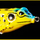 paulone high-end sequined thunder frog modified thunder frog simulation lure bait bionic fake fish bait lure set set of five A1313 grams set of five