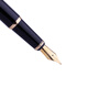 Picasso (pimio) fountain pen gift box T719 calligraphy pen male and female pen student business office writing practice wording gift gift ink pen set free lettering Black double pen nib (0.38mm+0.5mm)