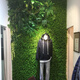 Doutu Gardening Green Plant Wall Simulated Plant Turf Wall Decoration Indoor Background Flower Wall Green Wall Hanging Plastic Fake Lawn Door Header Encrypted Milan Grass