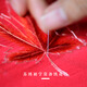 Other embroidery craftsmen Suzhou embroidery diy beginner embroidery needle No. 12 red embroidery horse brand needle embroidery embroidery needle