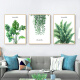 Reputation decorative painting can be customized living room triple modern small fresh flower hanging painting wall sofa background wall mural Nordic hanging painting European restaurant plant decorative painting 40*60 green plants