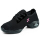 Niu Badao Niu Badao Square Dance Schuhe Luftkissen weiche Einzeltanzschuhe Frauenschuhe Mesh atmungsaktives einzelnes Netto -Sommer -Tanzschuhe 5595 Schwarz 37