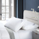 Downia Australian pillow core Westin five-star hotel upgraded 95% white goose down pillow core 48*74CM