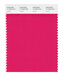 PANTONE/PANTONE/PANTONE Bekleidung und Heimtextilien 17-1740 bis 17-2601TCX, Baumwollversion, einfarbige Karte 17-1842X