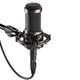 Audio-technica AT2050 condenser microphone mobile phone live broadcast equipment set karaoke chorus anchor recording microphone standard microphone
