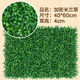 Doutu Gardening Green Plant Wall Simulated Plant Turf Wall Decoration Indoor Background Flower Wall Green Wall Hanging Plastic Fake Lawn Door Header Encrypted Milan Grass