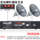 菱声（LINGSHENG） 户外公共广播号角高音喇叭农村校园广播音响紧急宣传应急广播系统 250瓦功放+2个100瓦大喇叭