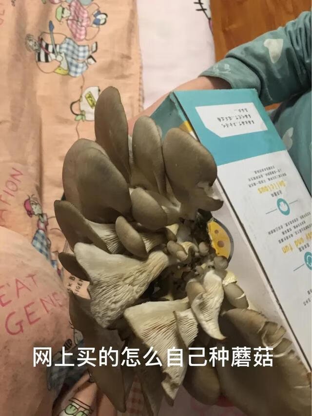 孩子沉迷游戏怎么办