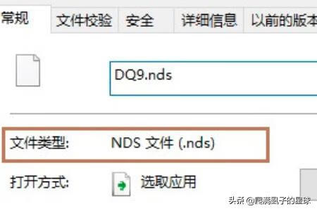 nds模拟器怎么放大