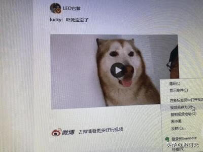 怎么下载新浪视频