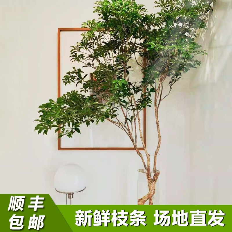 琦乐波农资专营店 琦乐波农资专营店
