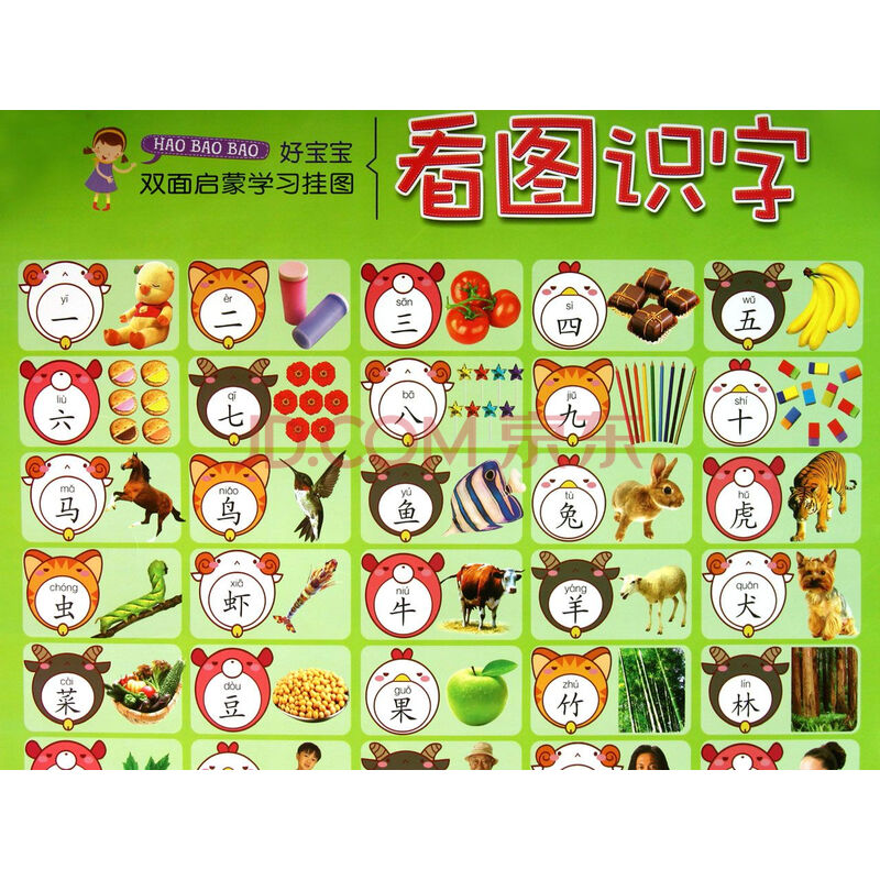 看图识字/好宝宝双面启蒙学习挂图
