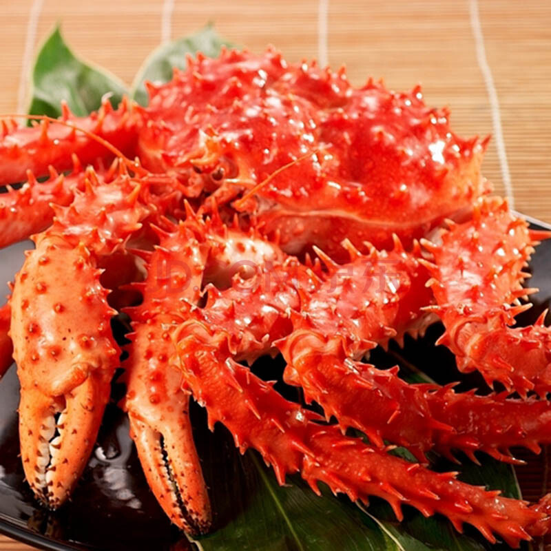 澳大利亚美食皇帝蟹图片