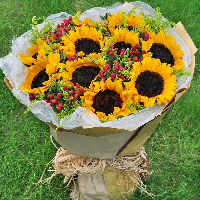 10朵向日葵花束 祝福礼物生日鲜花送父亲领导同事朋友 九江济南淄博枣