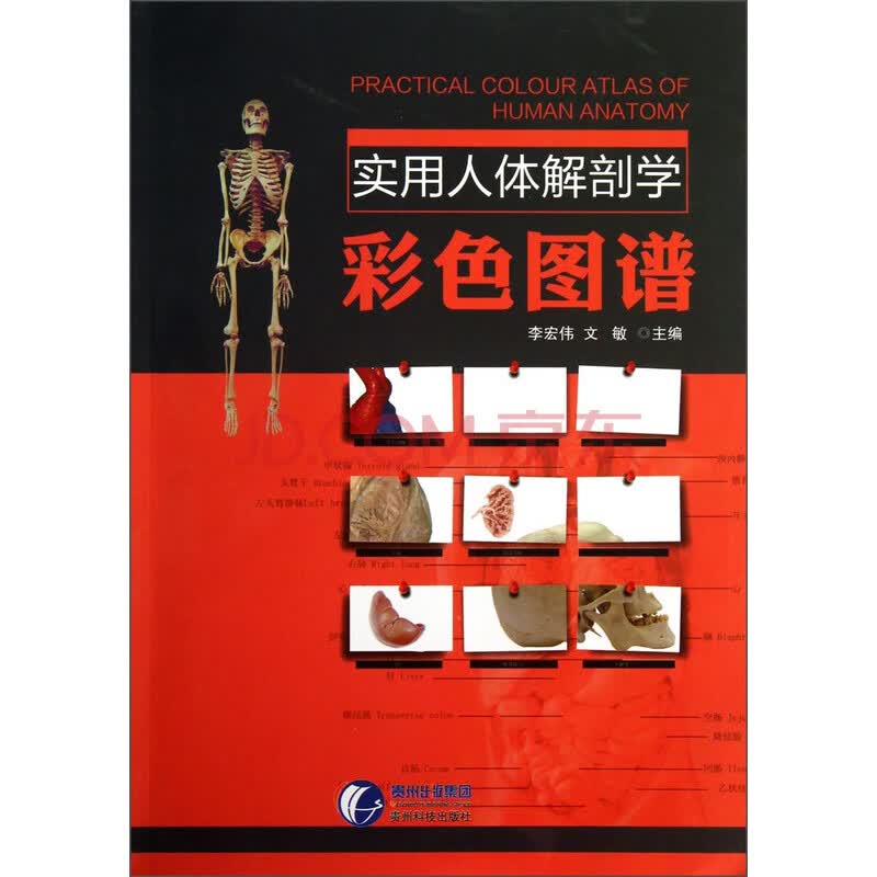 实用人体解剖学彩色图谱