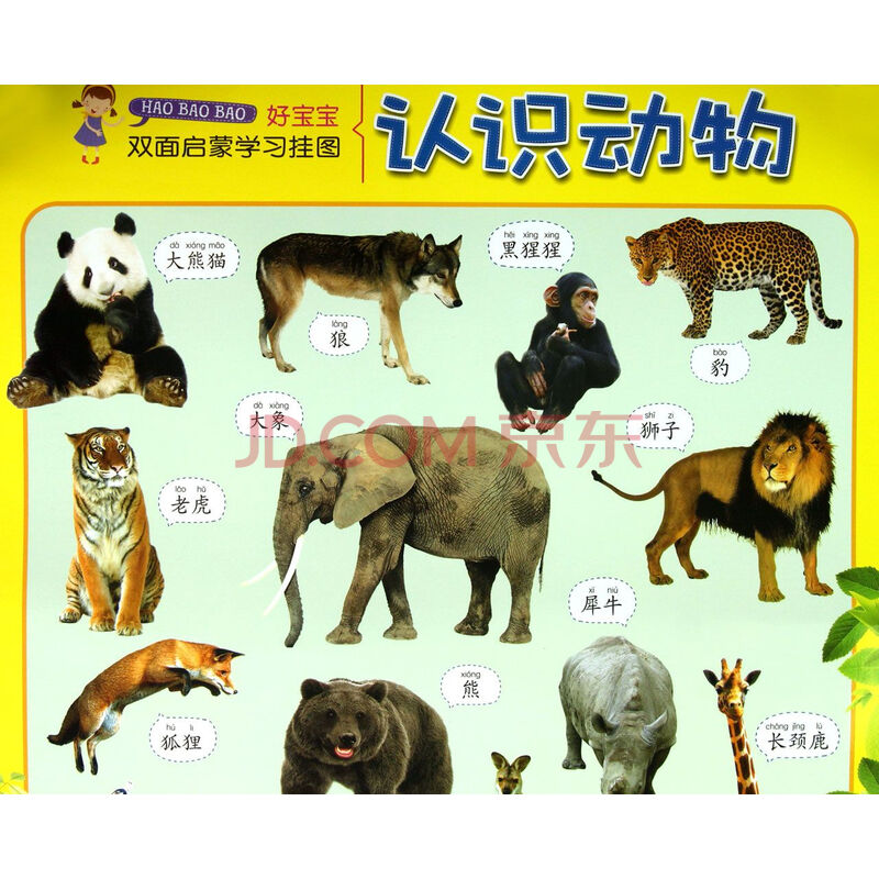 认识动物-好宝宝双面启蒙学习挂图 卢昀吴珩