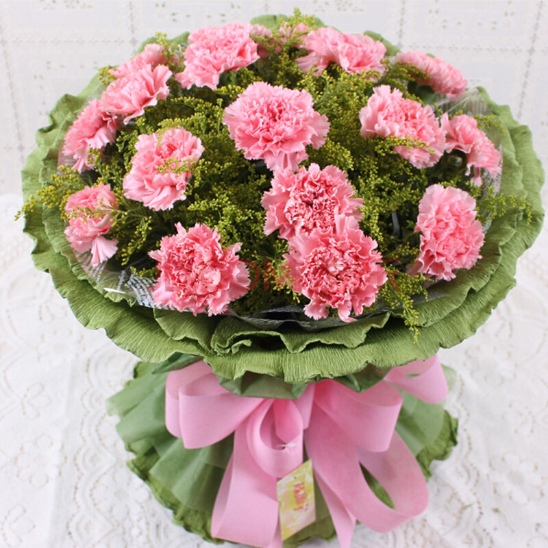 花之苑 19朵粉康乃馨 鮮花速遞生日 鮮花 花 生日禮物創意禮品 紅玫瑰