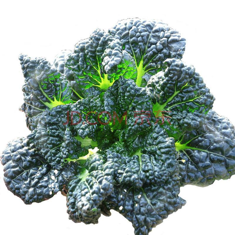 蔬菜新鲜 湖北随州特产霜打泡泡青菜 现挖黑白菜绿色叶子青菜蔬菜 1斤