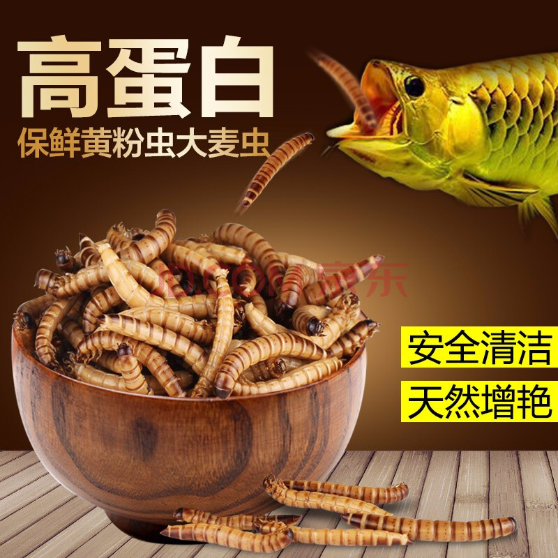 森森 黃粉蟲 大麥蟲 餵食血鸚鵡金銀龍魚飼料 羅漢魚熱帶魚 烏龜飼料