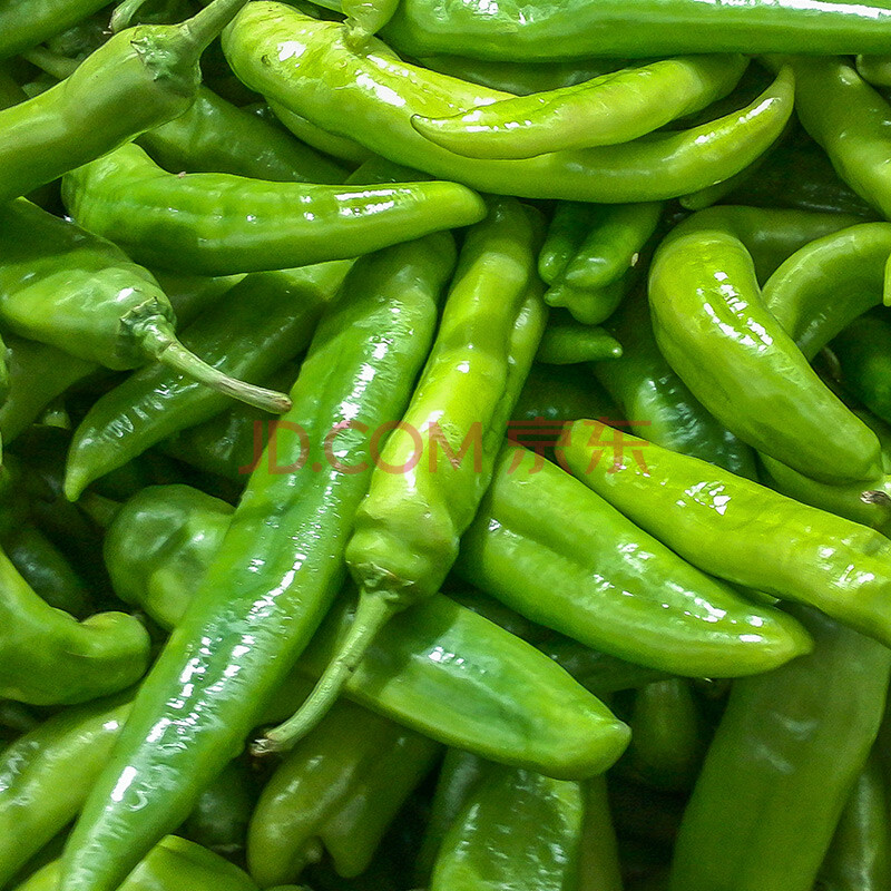 青椒新鲜土辣椒螺丝椒尖椒农家菜4斤大菜椒皱皮薄皮虎皮蔬菜