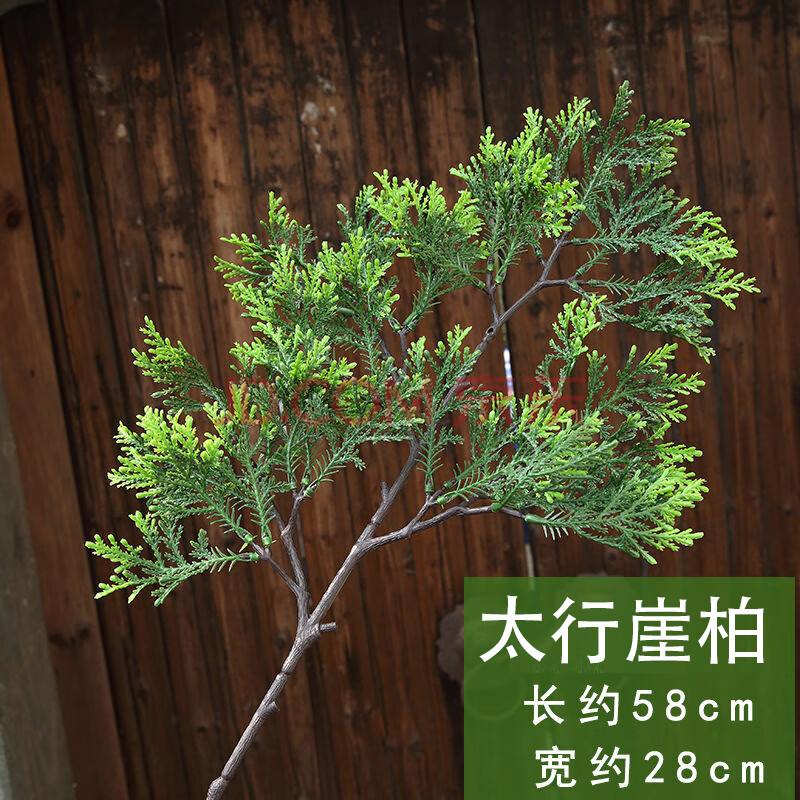 仿真松针崖柏树枝假花松树盆栽松枝道具干花塑料花松树叶子假树叶