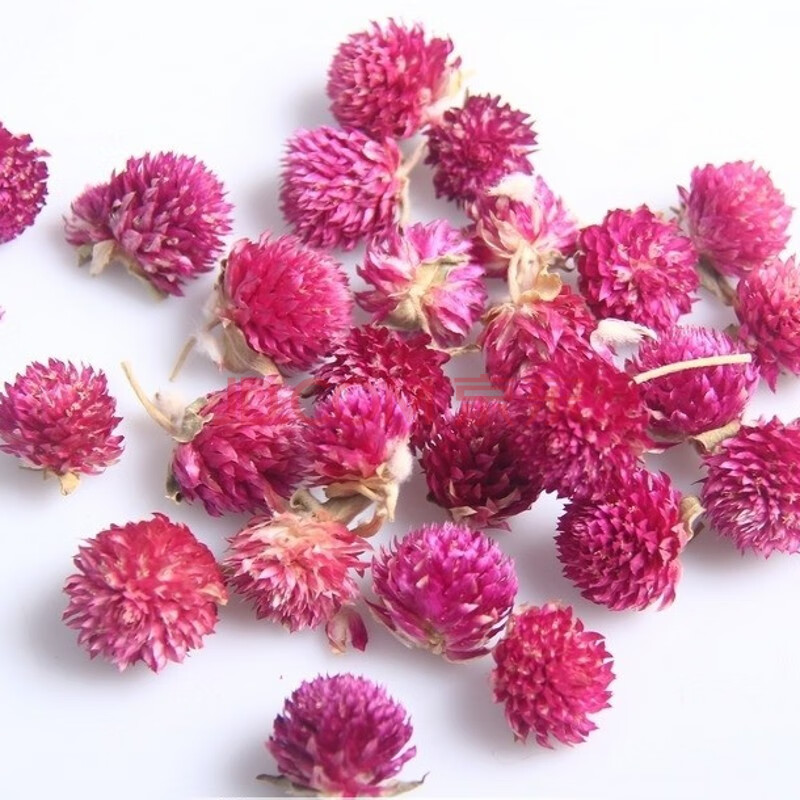 散装千日红种子 火球花 百日红 圆仔花 大花千日紫种子景观绿化 千日