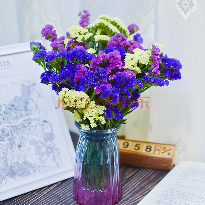 云南勿忘我满天星干花花束真花批发插花装饰客厅摆件花卉礼物禧乐菲