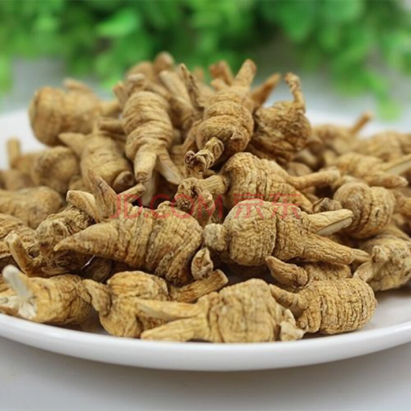 觅阳参大颗吉林长白山野山参觅阳叁 100克整颗