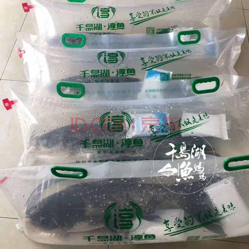 千岛湖鱼头生态活鱼现杀淳鱼鳙鱼胖头鱼真空包装活鱼运输 江浙沪区活