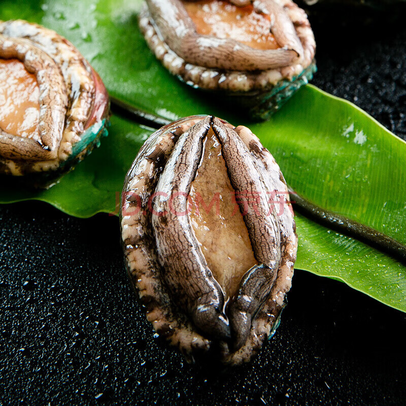 【帆儿庄园】弹指鲜生 冷冻10头大鲍鱼 8分熟冻锁鲜 生鲜 贝类 海鲜