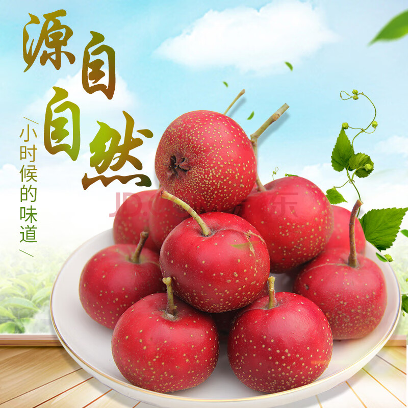 新鲜 山楂果鲜 大山楂果 山里红 山楂水果冰糖葫芦酸楂 2斤