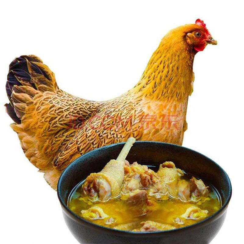 【发2只】农家散养土鸡肉三黄鸡走地鸡笨鸡整鸡新鲜 2只(单只750左右)