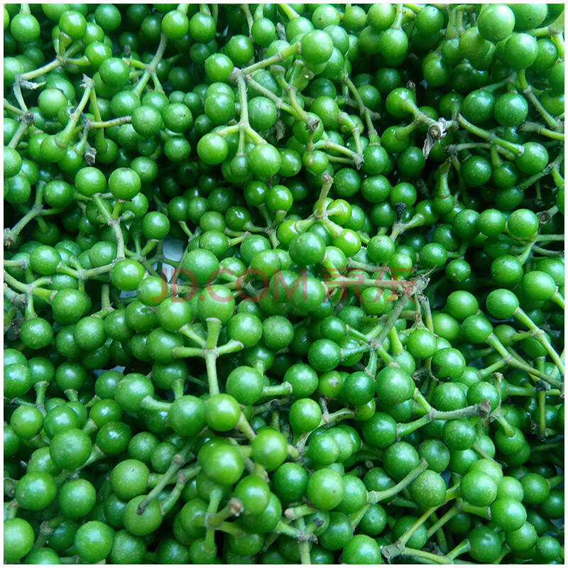 四川现摘 山胡椒 新鲜木姜子 新鲜重庆山苍子木浆子 500g