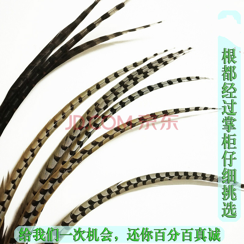 新品 俏花旦京剧戏曲京戏演出天然野鸡毛翎毛雉鸡翎羽长翎子羽毛 50