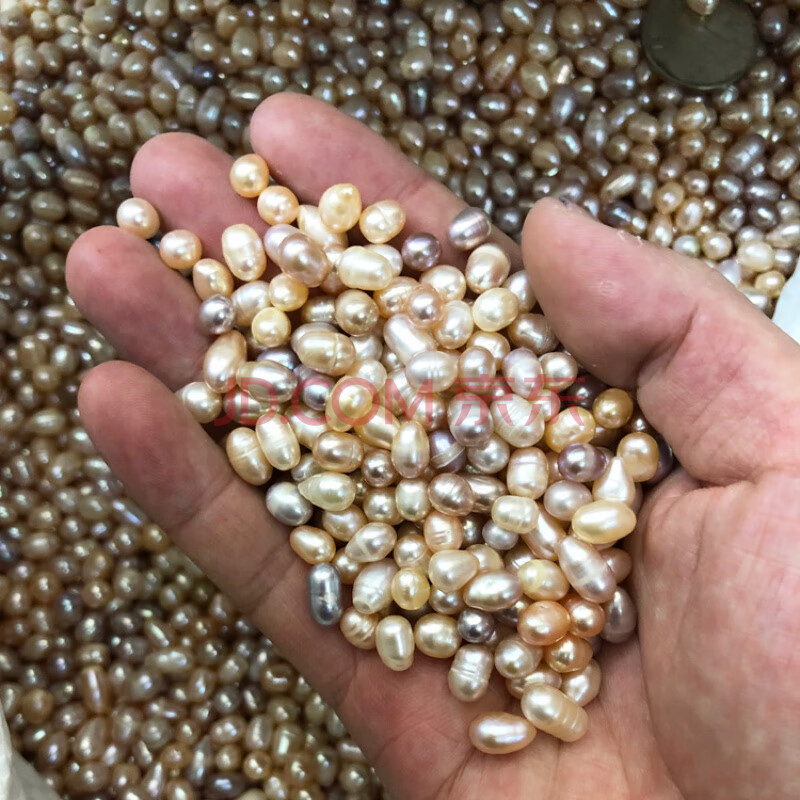 【芙蕖】供佛菩萨修曼扎装藏小珍珠称斤论斤按斤称真珍珠无孔散装七夕