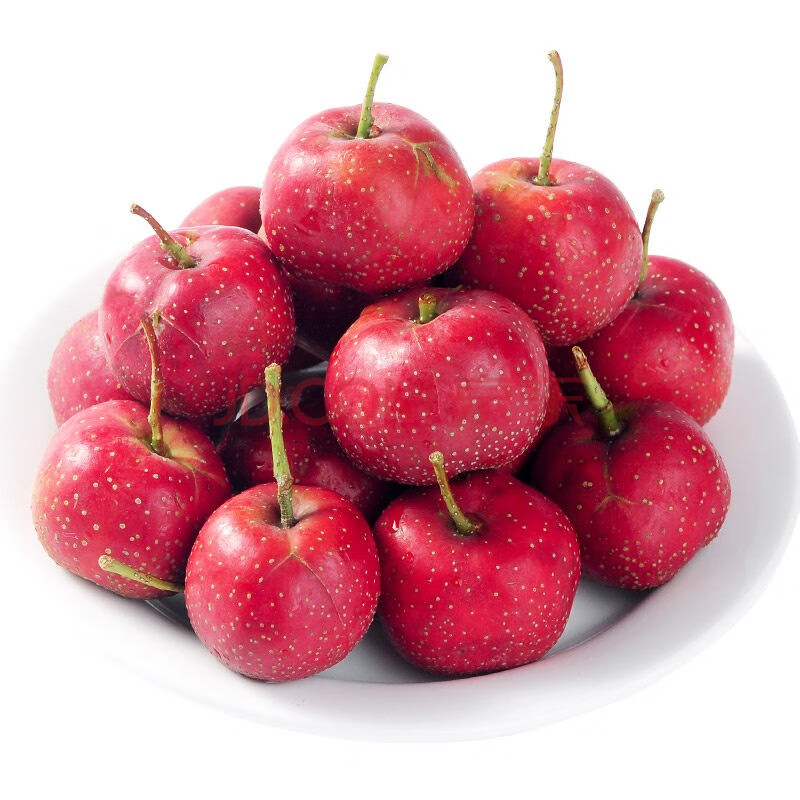 新鲜大山楂果现摘现发 山楂新鲜山里红糖炒山楂冰糖葫芦 2斤精品山楂