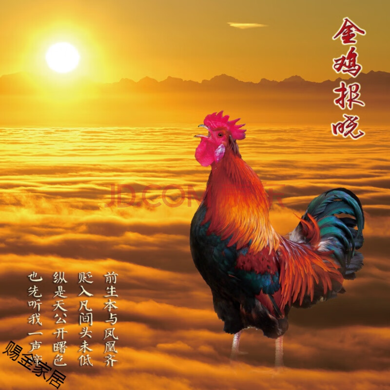 金鸡报晓风水画大公鸡贴画海报农门画富贵吉祥图雄鸡装饰墙画 大公鸡
