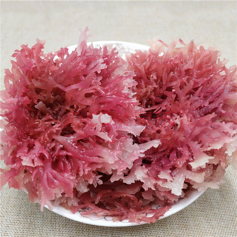 石花菜 500g 一级 麒麟菜血 草海燕窝 海石花膏海凉粉 海冻菜干货