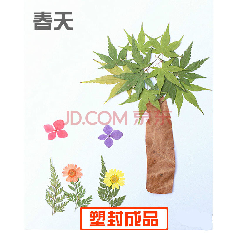 树叶贴画手工材料树叶贴画真植物标本材料包幼儿园儿童手工作业子活动