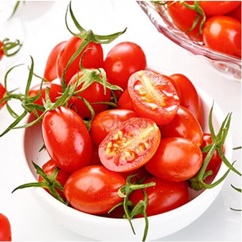 红牛奶小番茄 种子 蔬菜种子 阳台种菜 盆栽高出芽率 50粒 红牛奶小